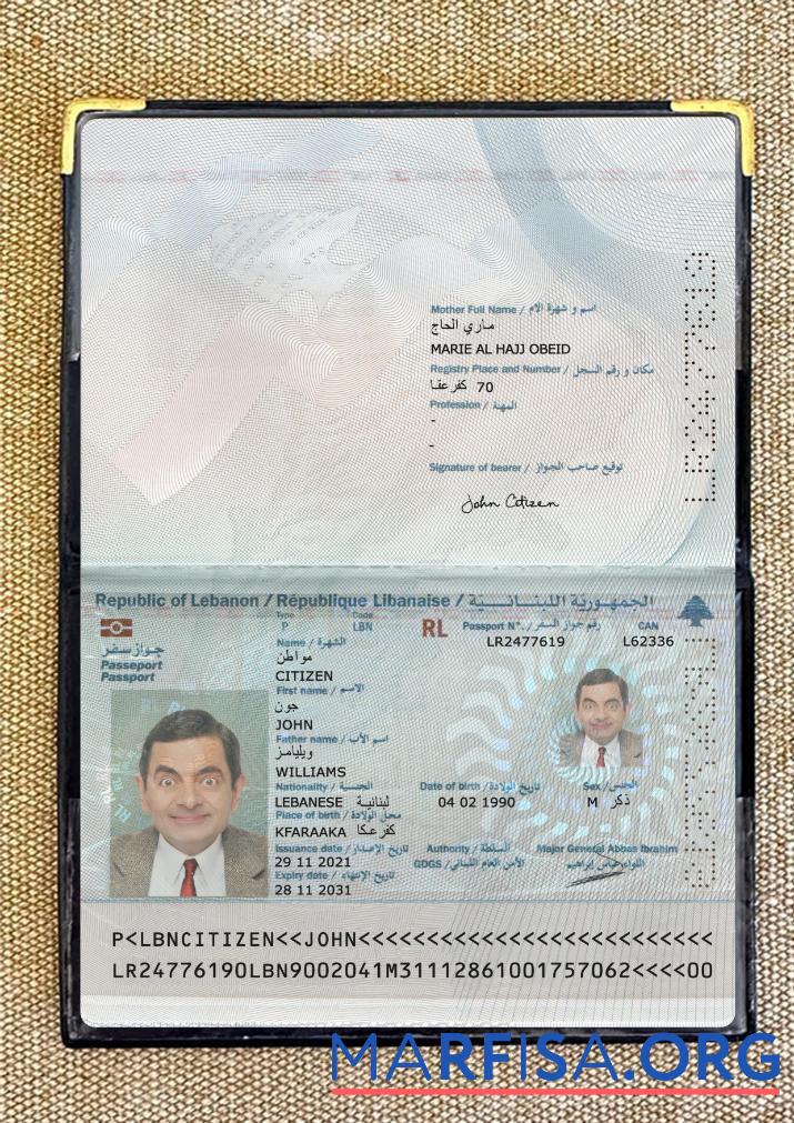 Realistic Lebanon passport 2021 present photolook template